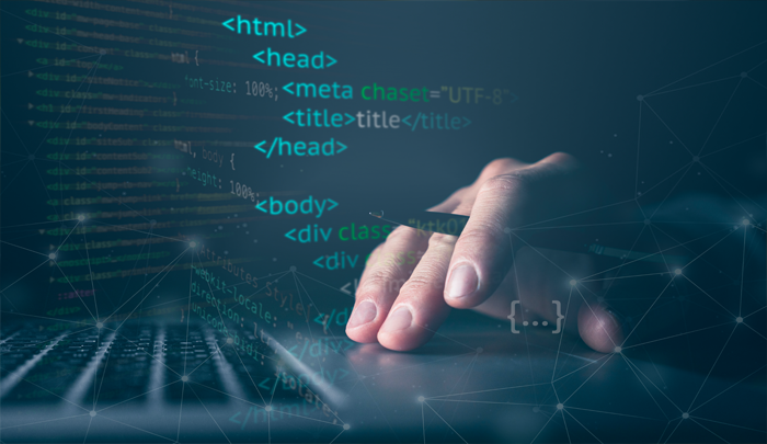 SEO-friendly website development for startups